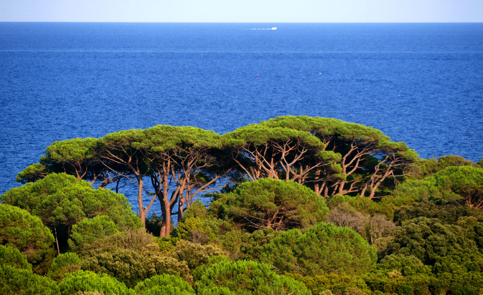 Korsika-Landschaft-gesamt (419)