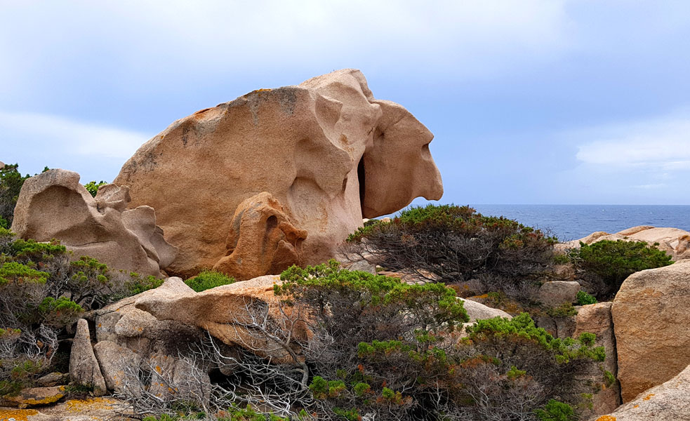 Korsika-Landschaft-gesamt (421)
