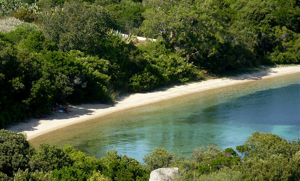 Korsika-Landschaft-gesamt (425)