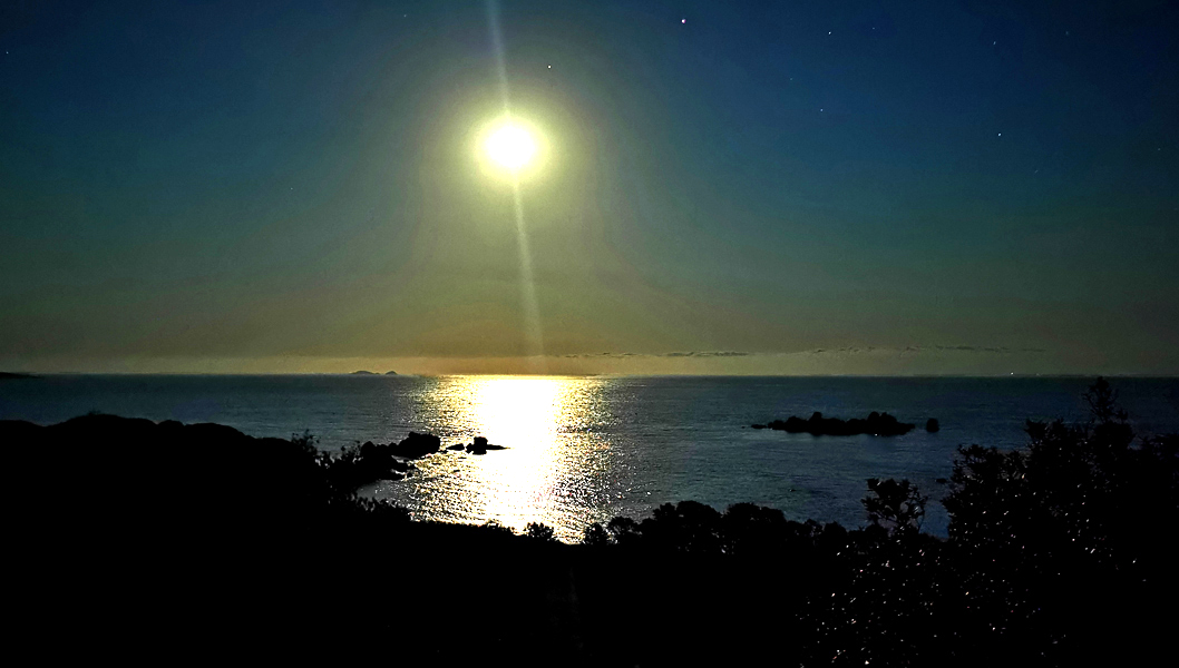 Korsika-Landschaft-gesamt (450)