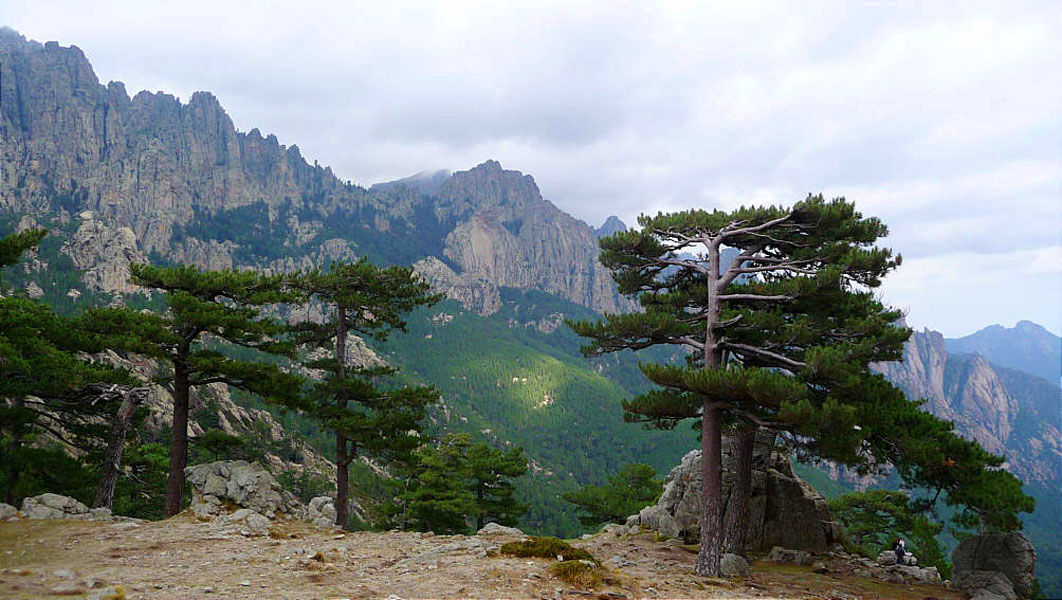 Korsika-Landschaft-gesamt (452)