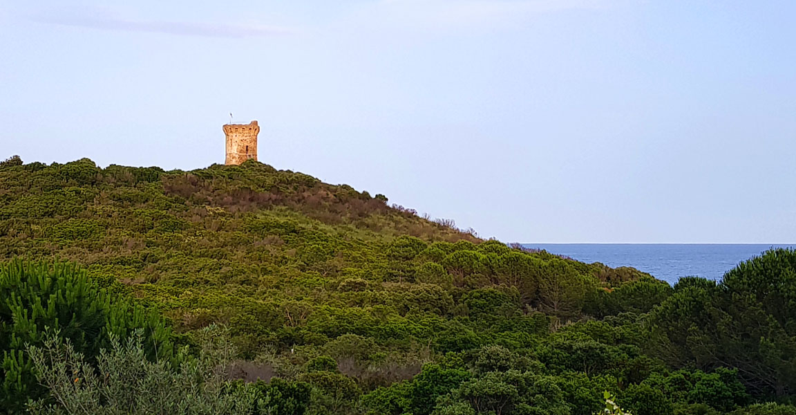 Korsika-Landschaft-gesamt (535)