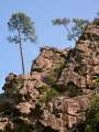 Korsika-Landschaft-gesamt (139)