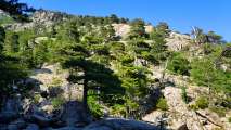 Korsika-Landschaft-gesamt (458)