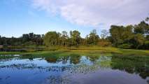 Korsika-Landschaft-gesamt (467)