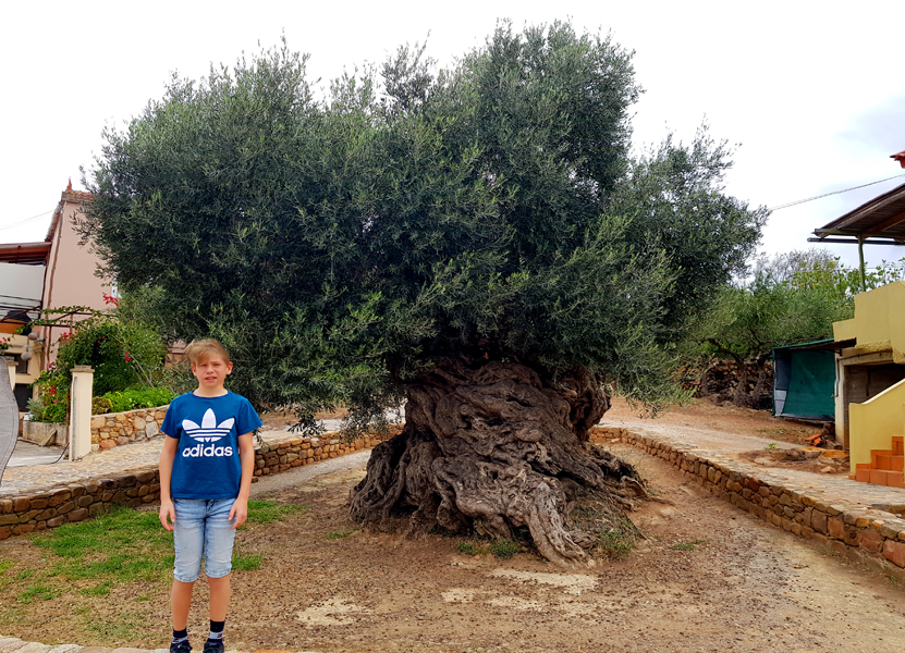 Kreta-Familie-2020 (27)