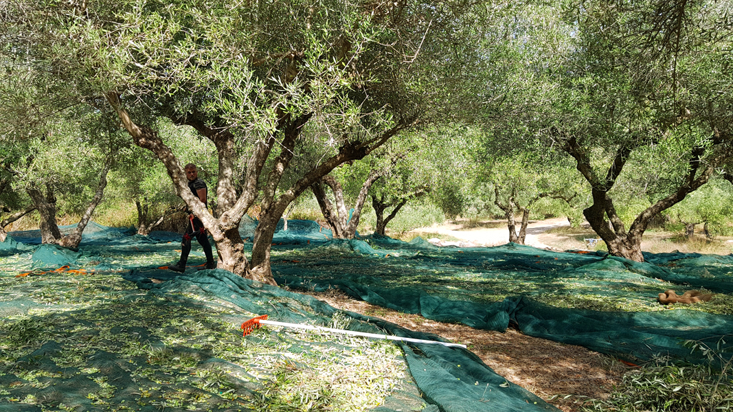 Kreta-Landschaft (112)