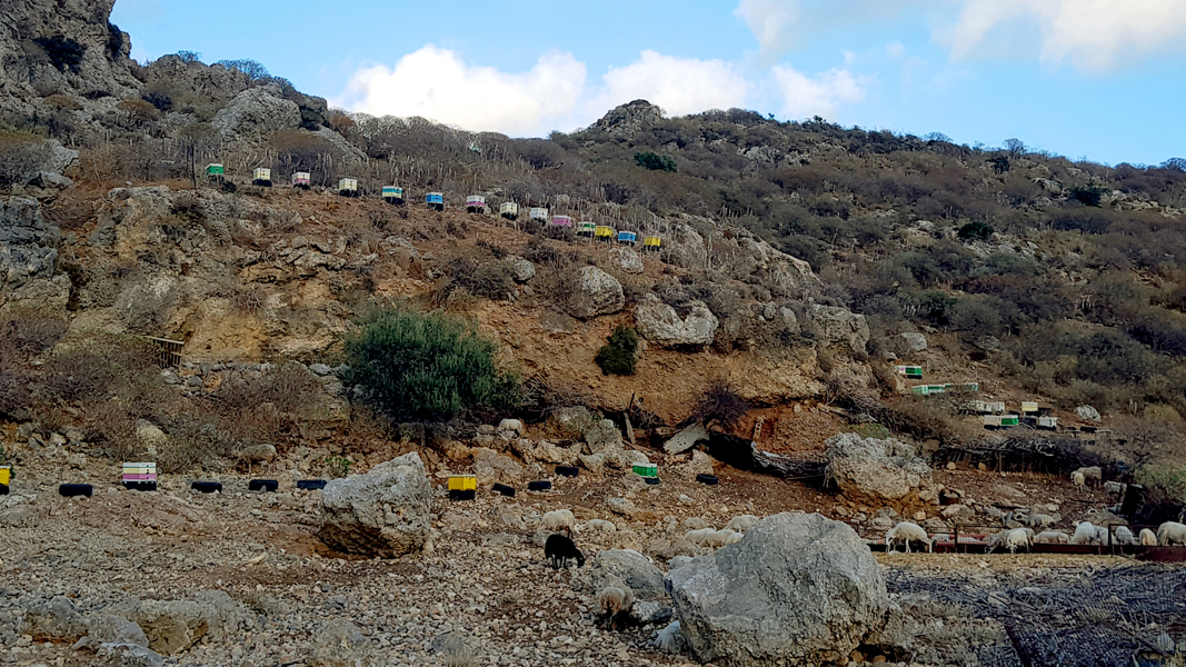 Kreta-Landschaft (134)