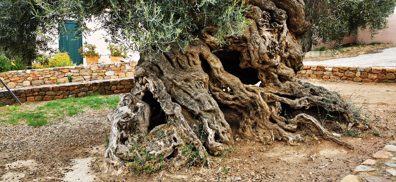 Kreta-Landschaft (176)