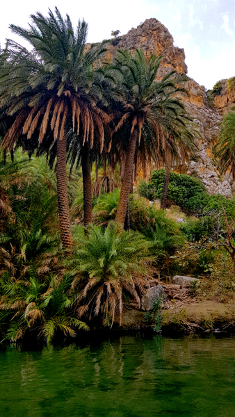 Kreta-Landschaft (29)
