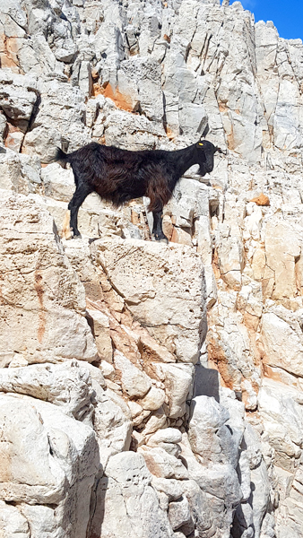 Kreta-Landschaft (43)