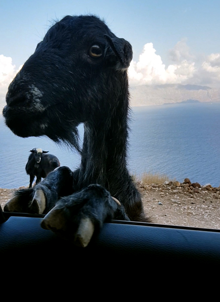 Kreta-Landschaft (58)