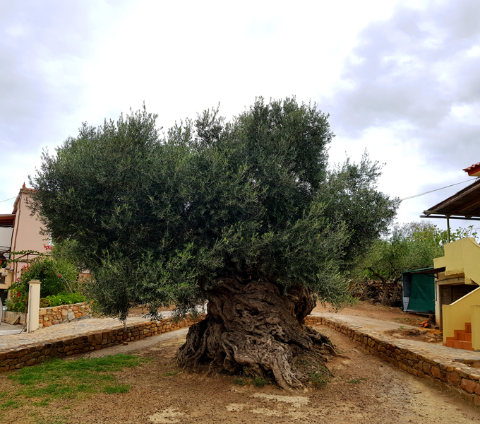 Kreta-Landschaft (68)