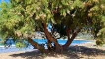 Kreta-Landschaft (135)