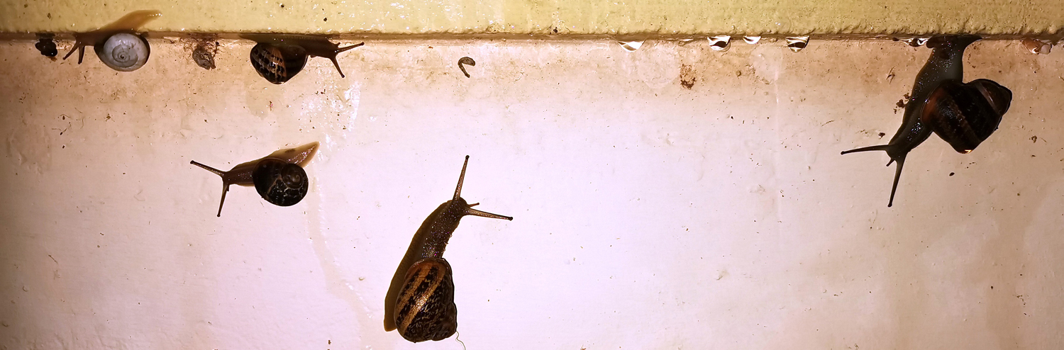 Kreta-Panorama-2020 (43)