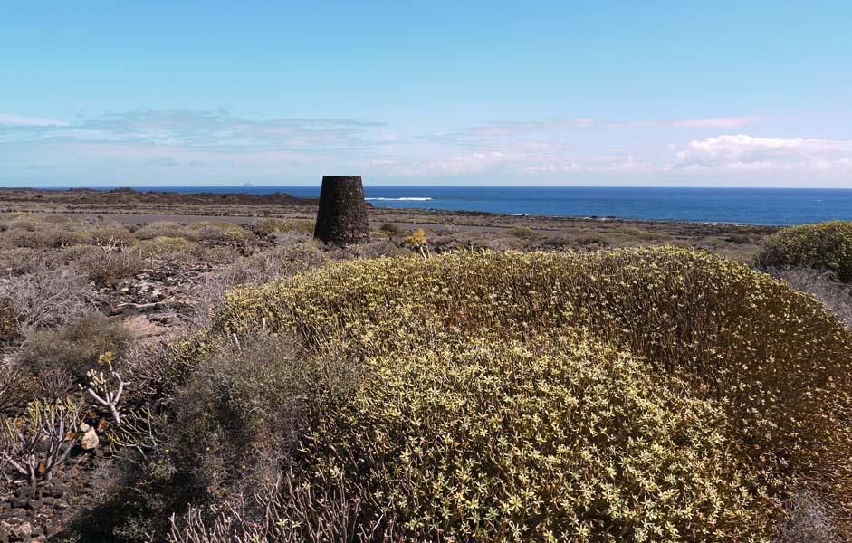 Lanzarote-Landschaft (31)