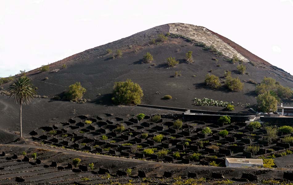 Lanzarote-Landschaft (33)
