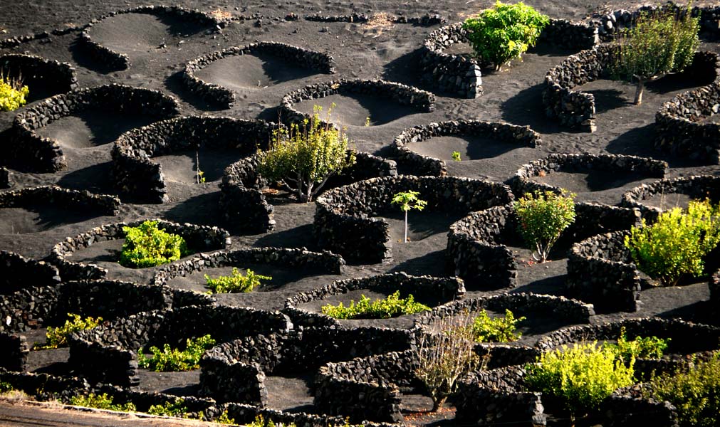 Lanzarote-Landschaft (41)