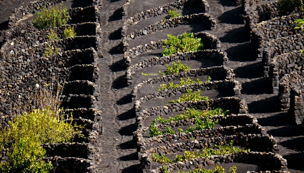 Lanzarote-Landschaft (44)