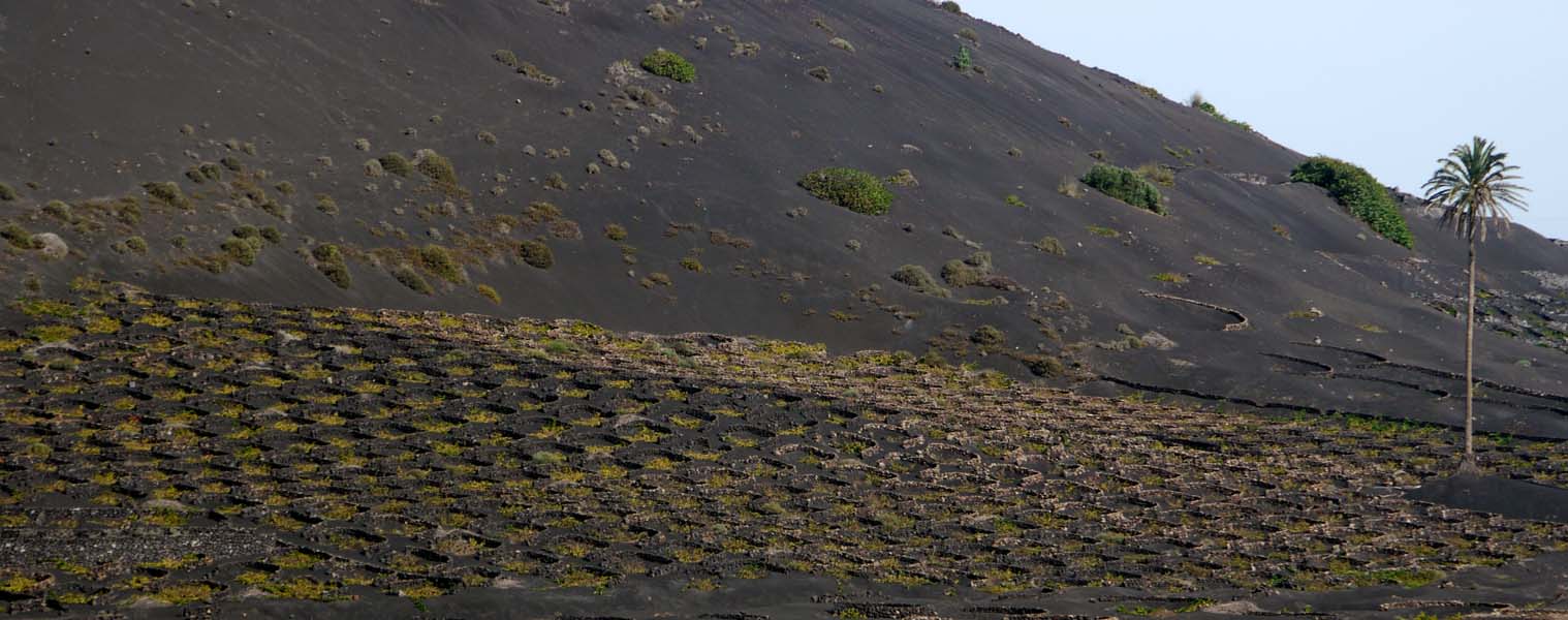 Lanzarote-Landschaft (61)