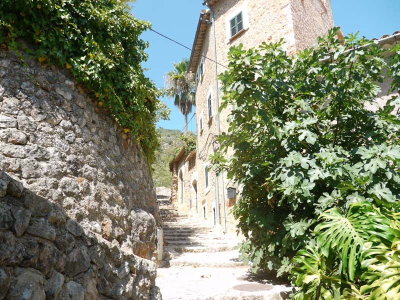 Mallorca - Landschaft (38)