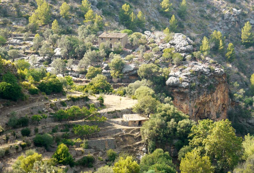 Mallorca - Landschaft (51)