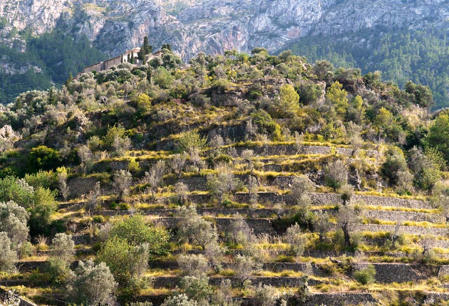 Mallorca - Landschaft (52)