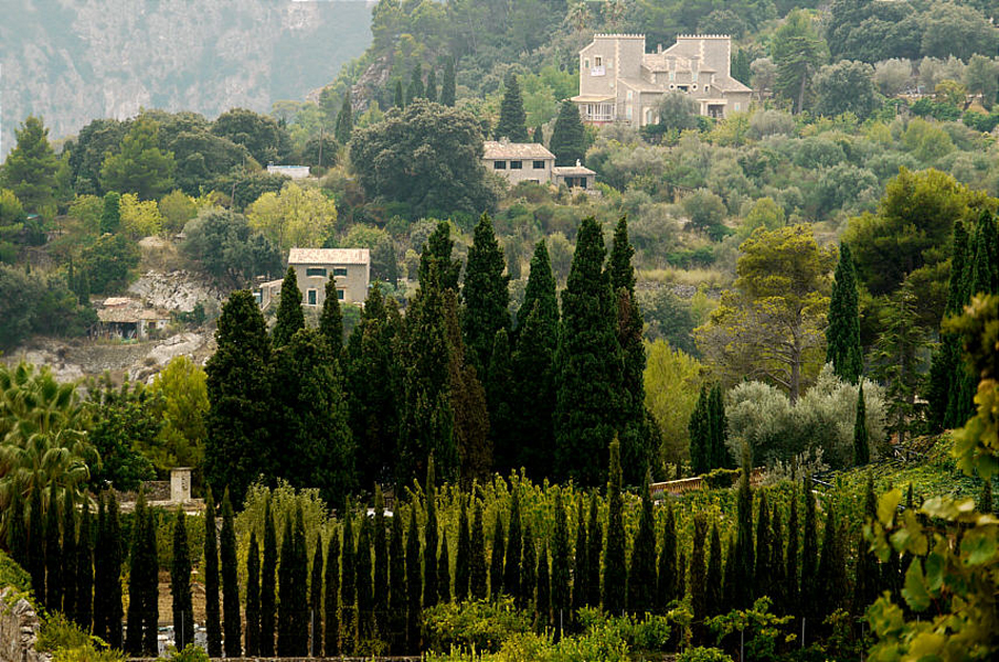 Mallorca - Landschaft (61)