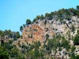 Mallorca - Landschaft (37)