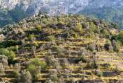 Mallorca - Landschaft (52)
