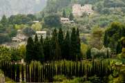 Mallorca - Landschaft (61)