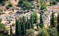 Mallorca - Landschaft (81)