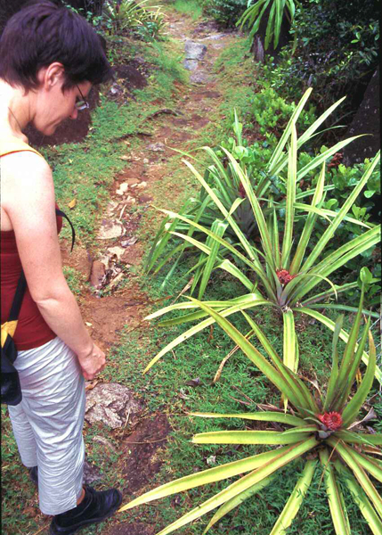 Seychellen-Familie-2002 (6)