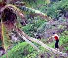 Seychellen-Familie-2002 (31)