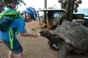 Seychellen-Familie-2014 (102)