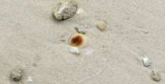 Seychellen-Familie-2014 (147)