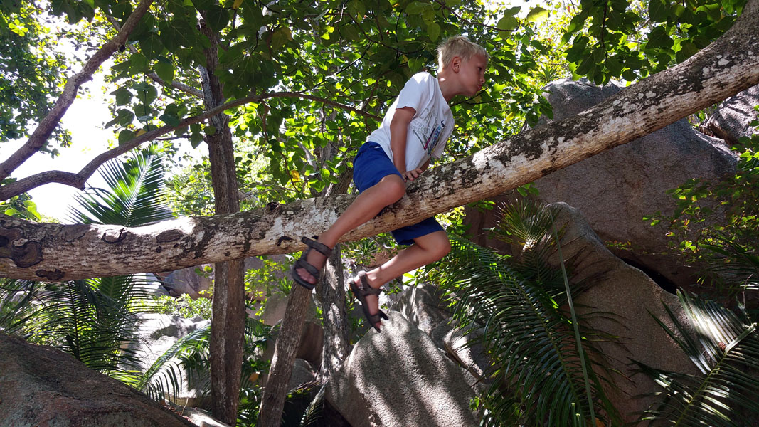 Seychellen-Familie-2015 (112)