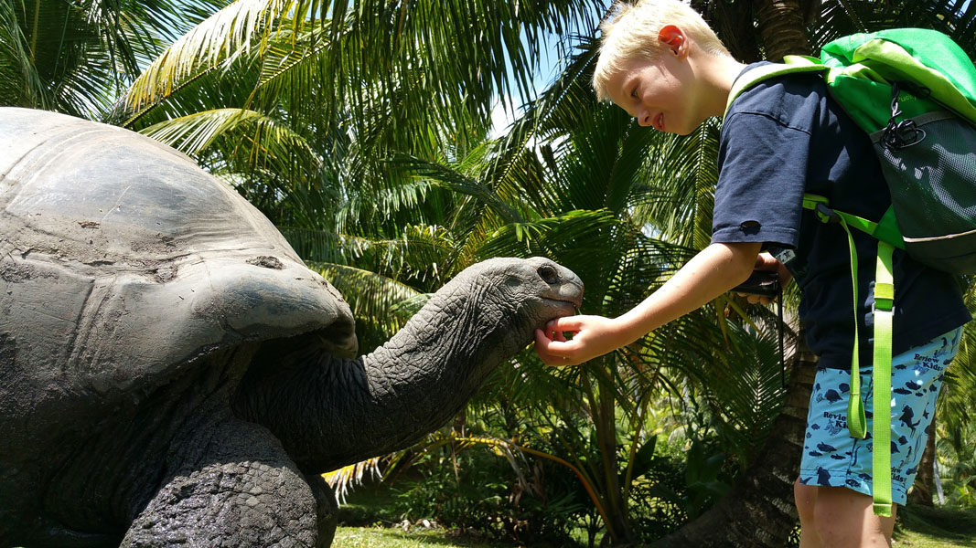Seychellen-Familie-2015 (99)