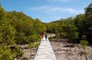 Seychellen-Familie-2015 (80)