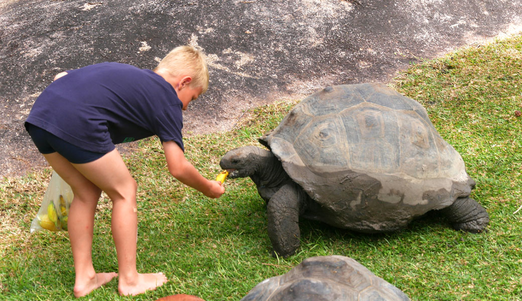 Seychellen-Familie-2016 (70)