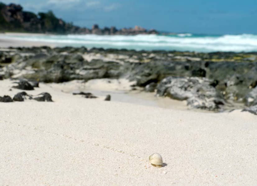 Seychellen-Landschaft- (104)