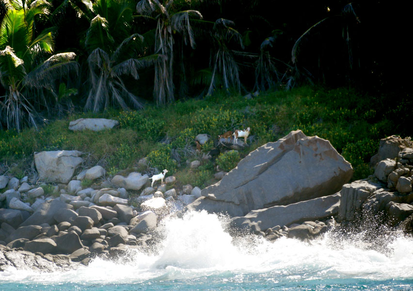 Seychellen-Landschaft- (114)