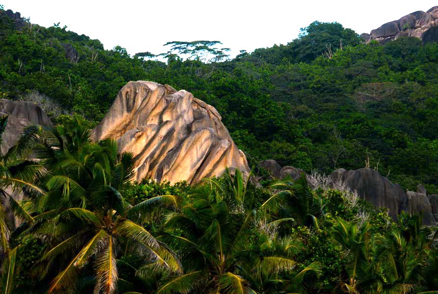 Seychellen-Landschaft- (131)