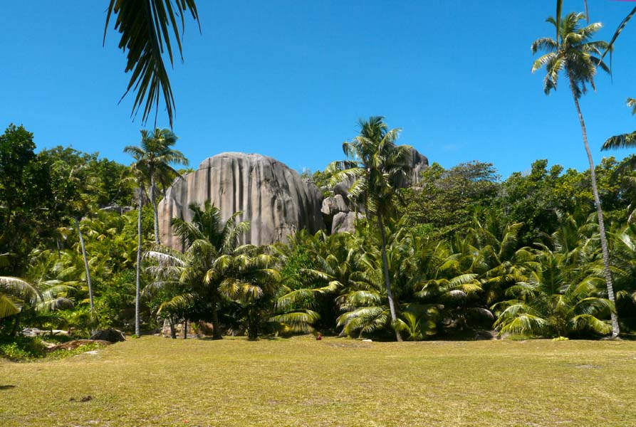 Seychellen-Landschaft- (132)