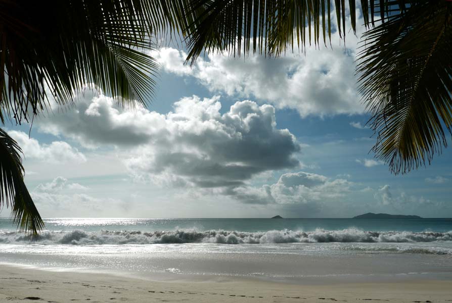 Seychellen-Landschaft- (133)