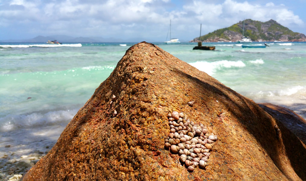 Seychellen-Landschaft- (211)