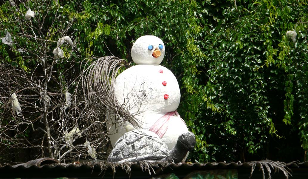 Seychellen-Landschaft- (219)