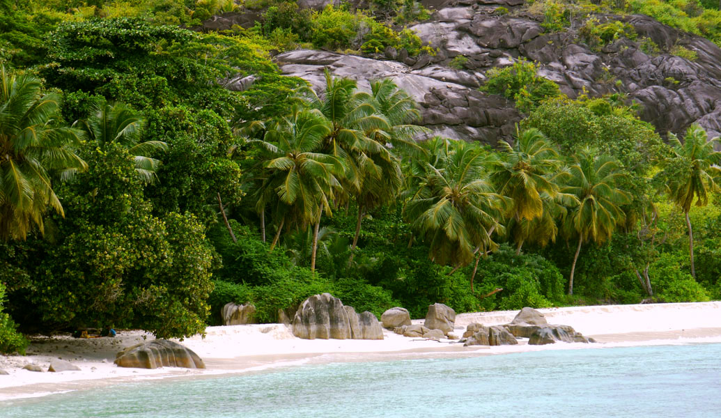 Seychellen-Landschaft- (220)