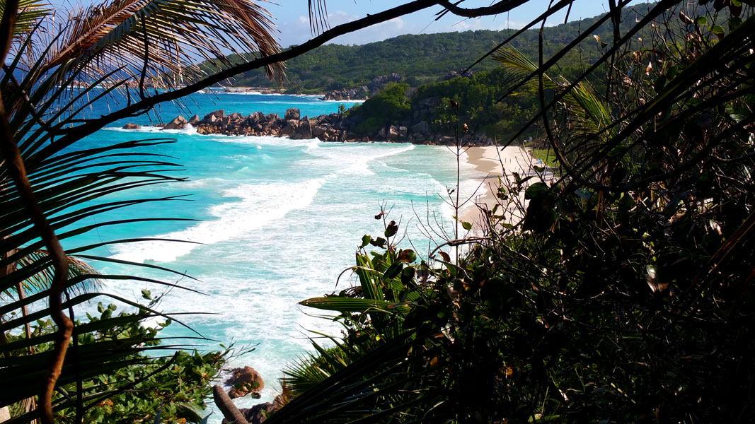 Seychellen-Landschaft- (247)