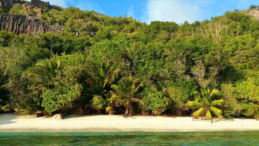Seychellen-Landschaft- (250)